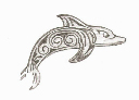 Polynesian Dolphin